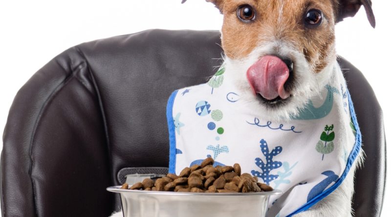 Good and affordable puppy dog food