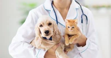 Is a pet health plan worth it?