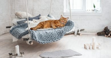 Is it easy to make a suspended bed for cats