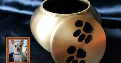 Is there cremation for dogs and cats?