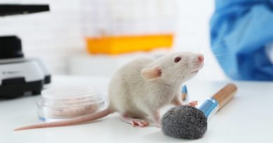 Laboratory Animals - The Contribution to Science