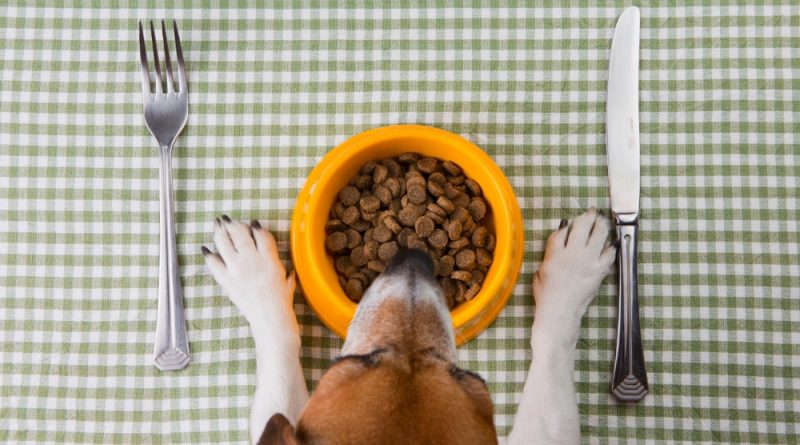 When to use light dog food